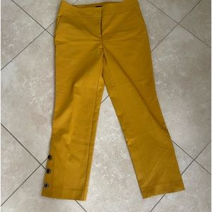Ann Taylor Factory Pants
